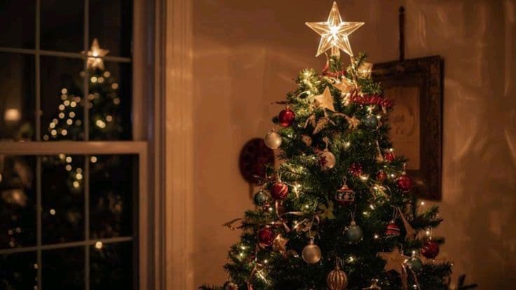 Christmas and New Year in Karwar and Gokarna: Where to Stay and Celebrate by the Sea