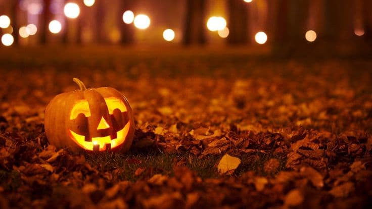 Halloween Party in Karwar: Costume Night, Dinner and Fun at Hotel Éden